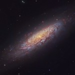 NGC 6503 – Uma galáxia solitária